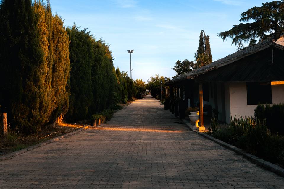 Finca Puente Largo