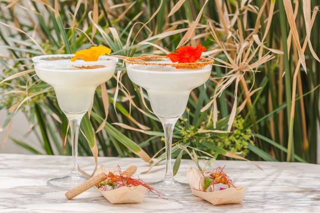 Margarita & Ceviche