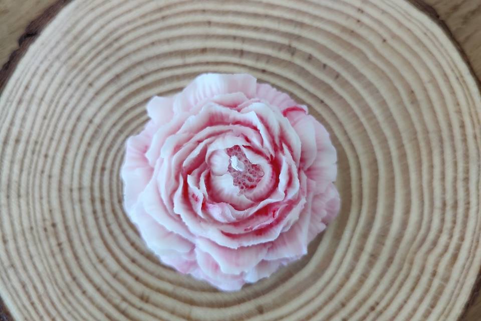Peonía marmolada en rosas