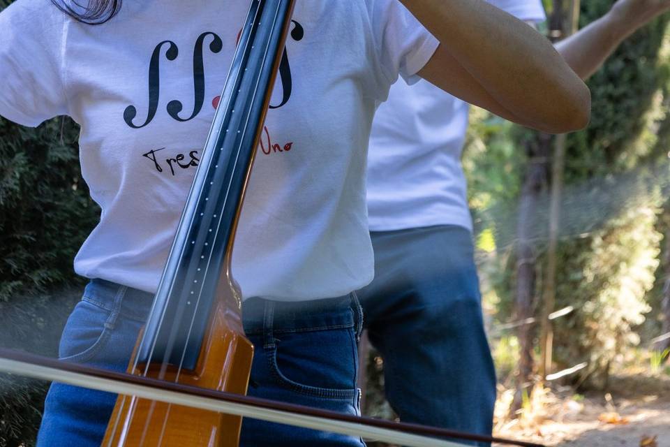 Cuarteto tres más uno