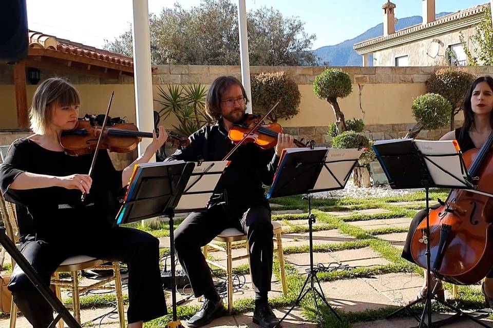 Cuarteto tres más uno