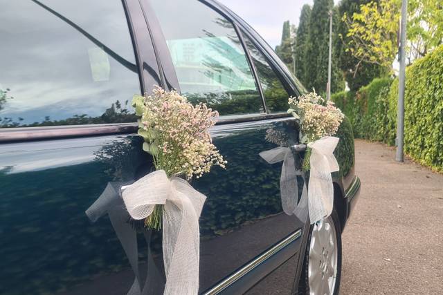 Detalles lateral