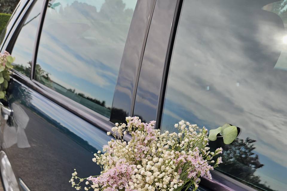 Detalle lazo blanco