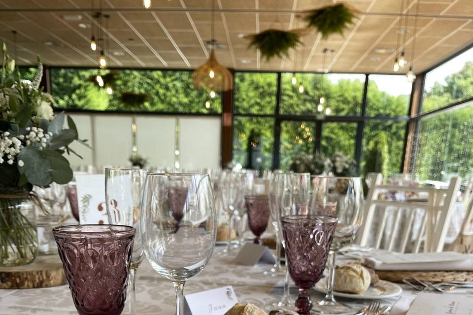 Pétalos Rosas Eventos