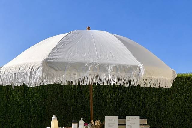 BITEO