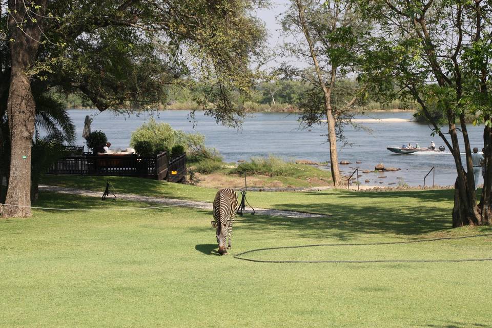 Okavango