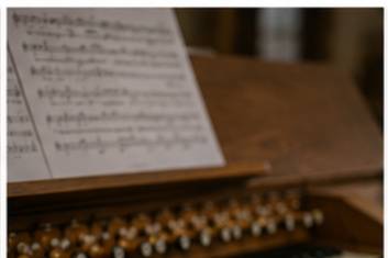 Organo solo