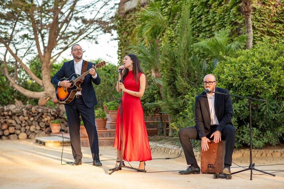 Cócteles con música en vivo.