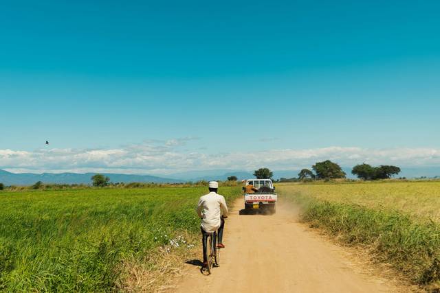 Safaris para recordar