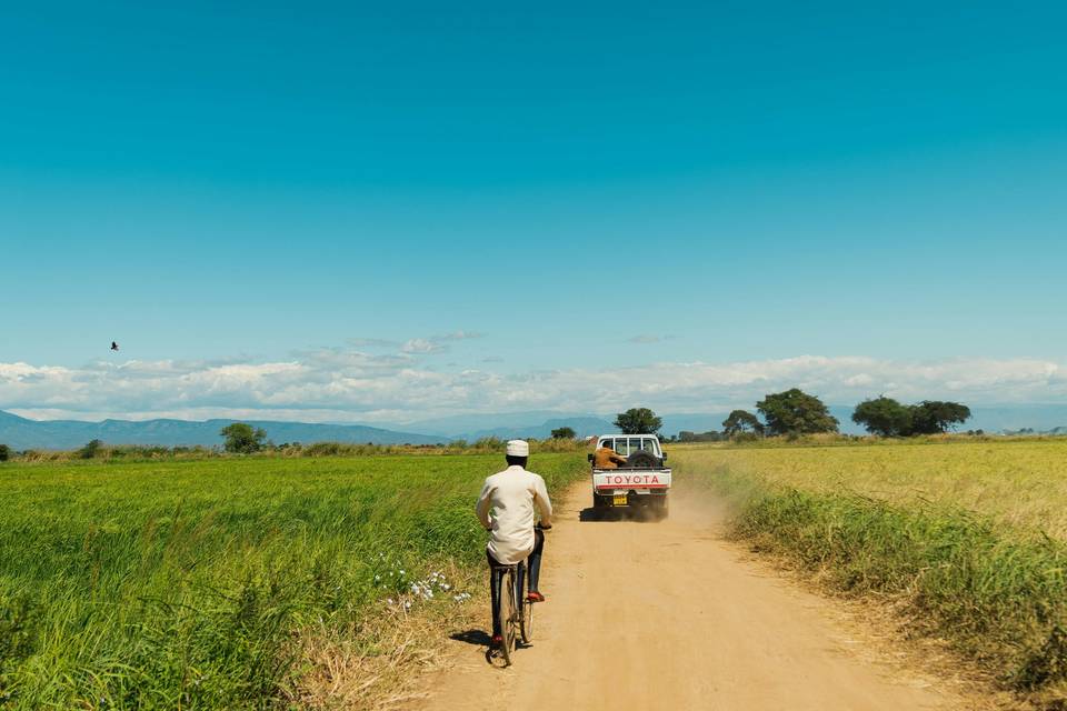 Safaris para recordar