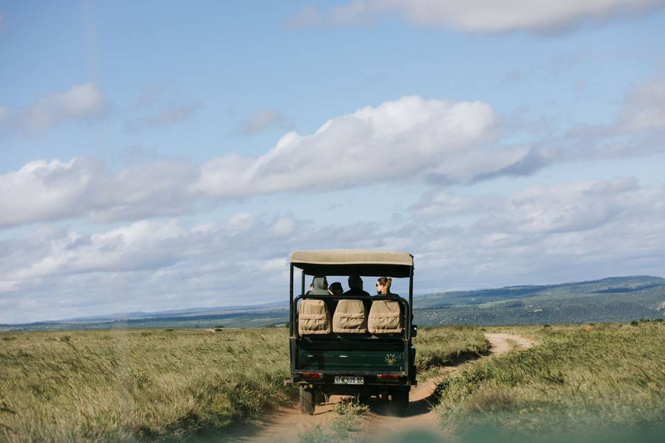 Un safari por África