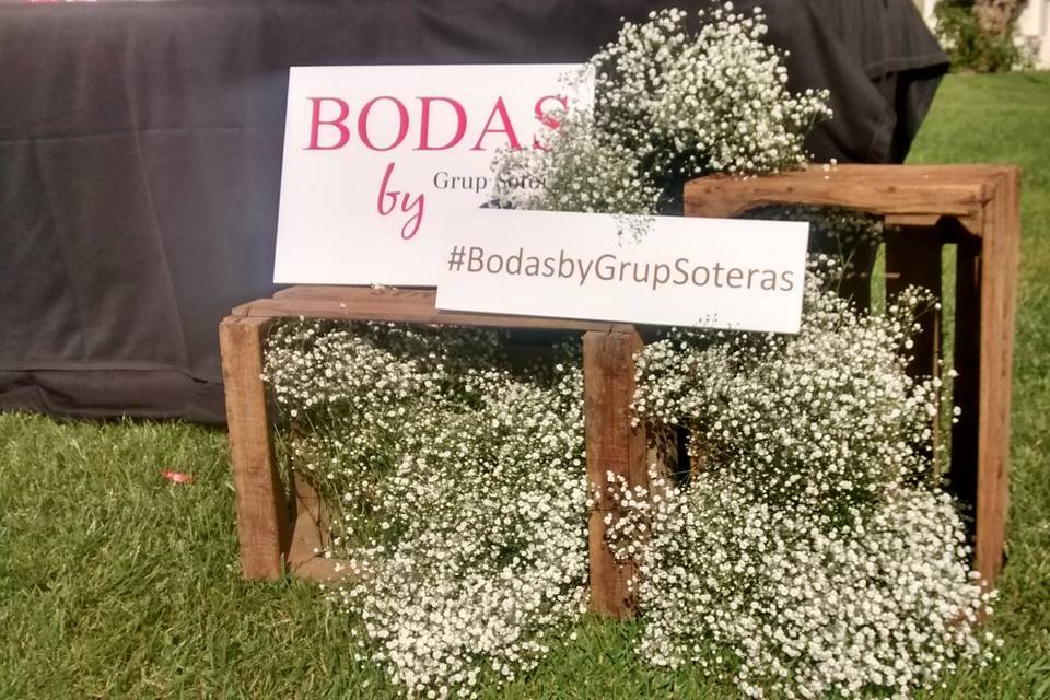 Bodas