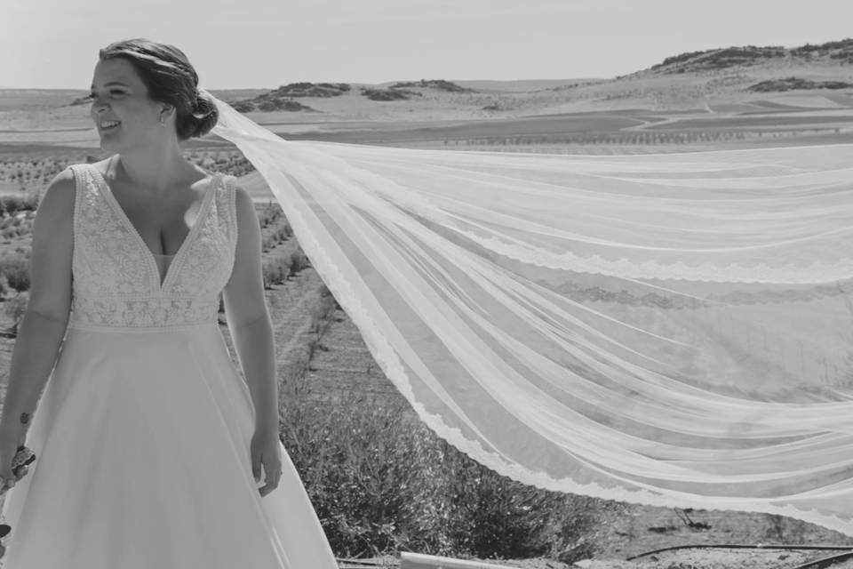 Viento de La Mancha