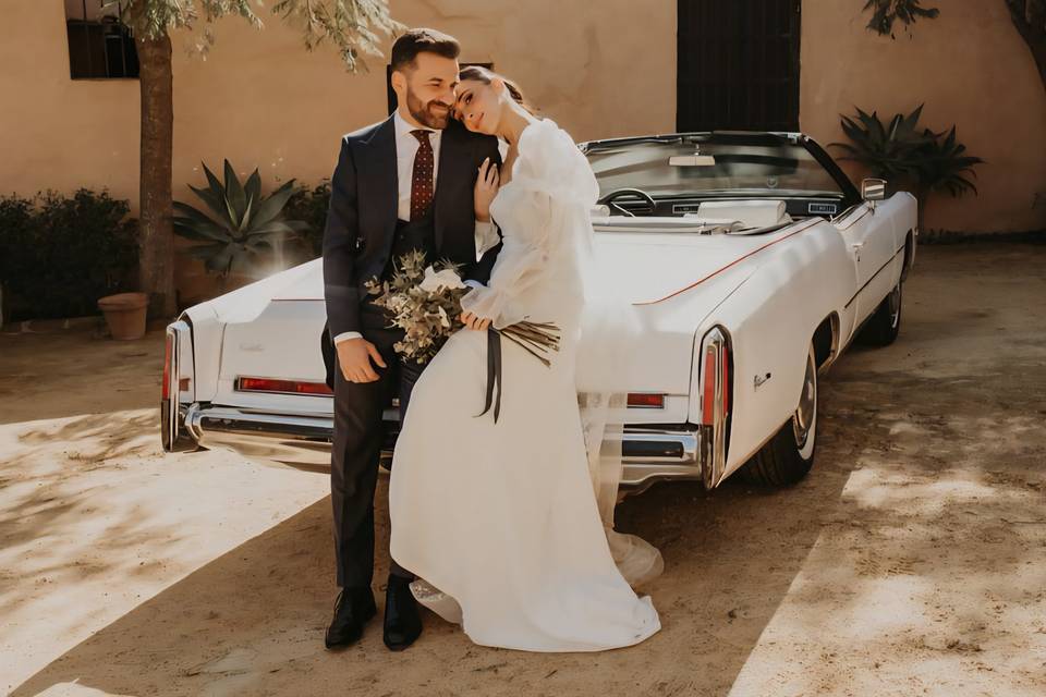 Novios