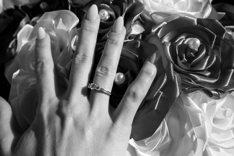 Anillos
