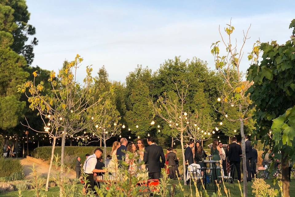 Boda en El Soto de Mónico