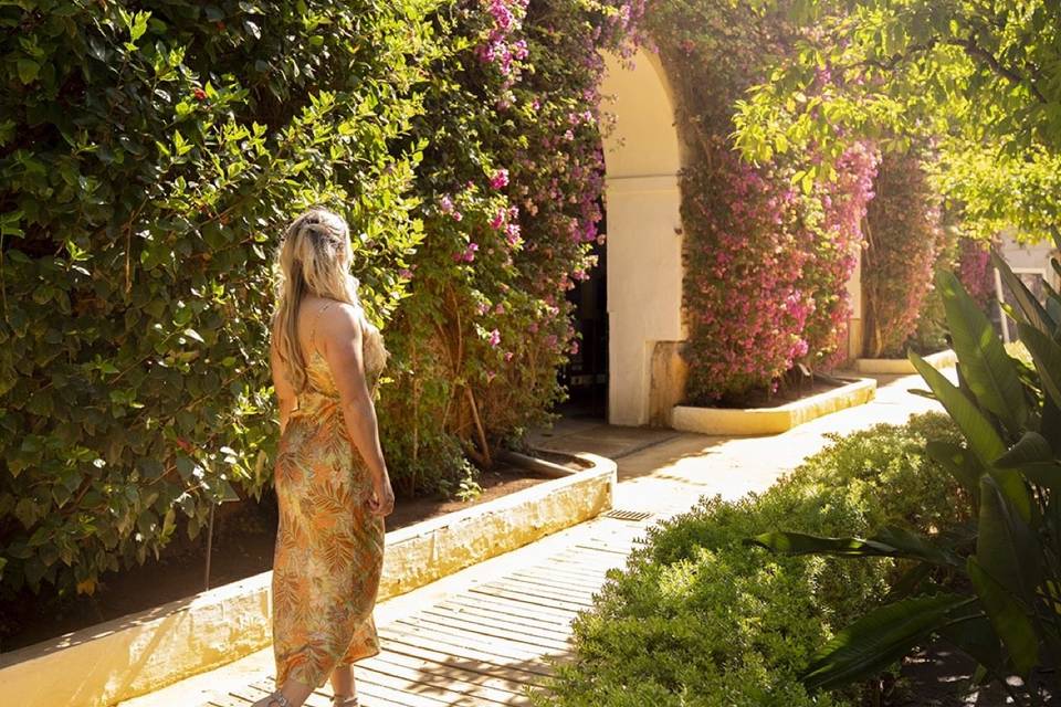 Entre los jardines