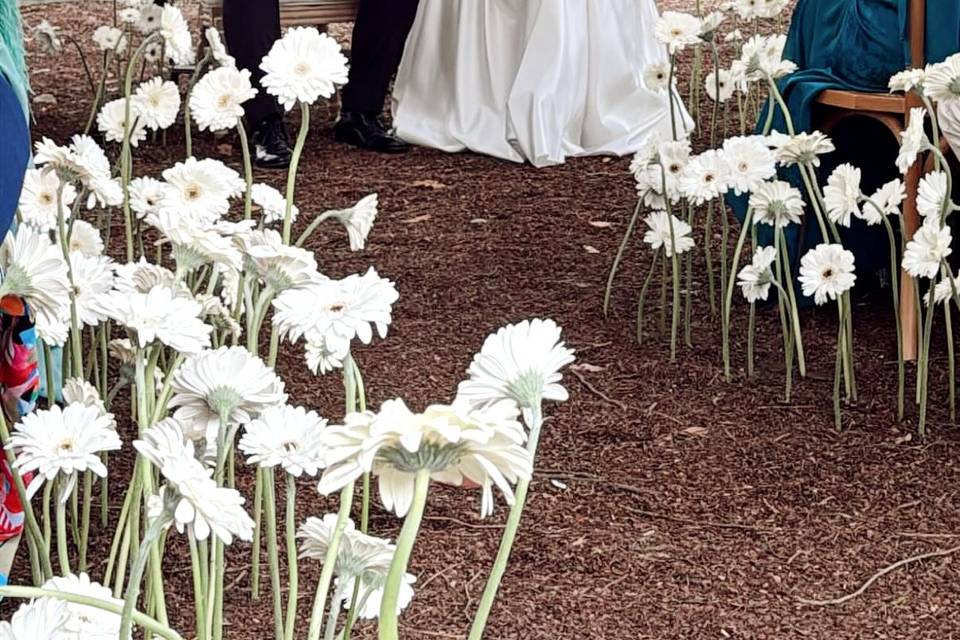 Ceremonia V&J