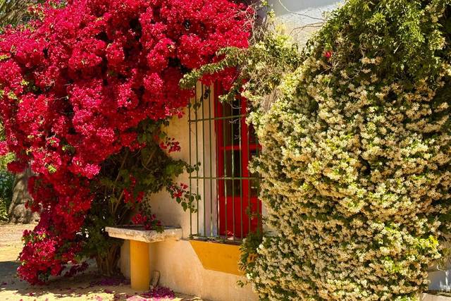 Jardines con encanto