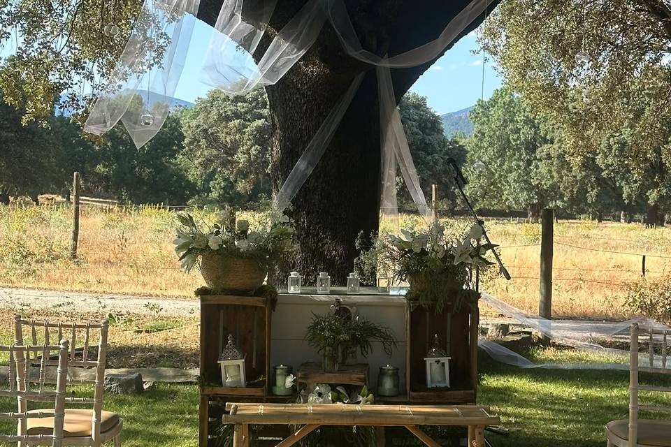 Ceremonia civil