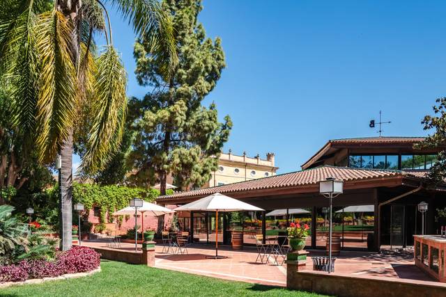 Terraza jardín