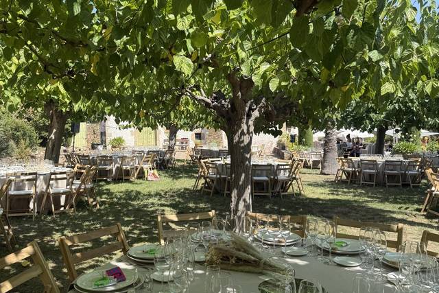 Banquete
