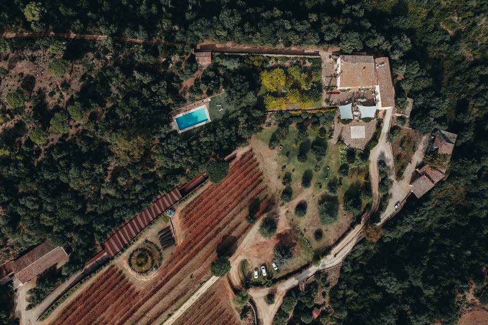 Finca
