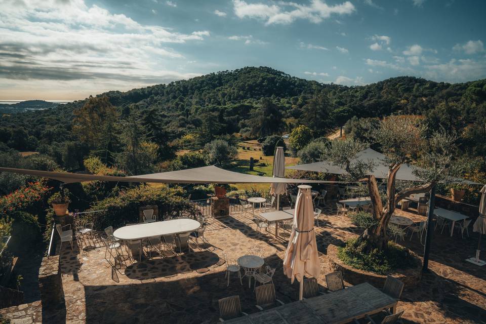 Finca