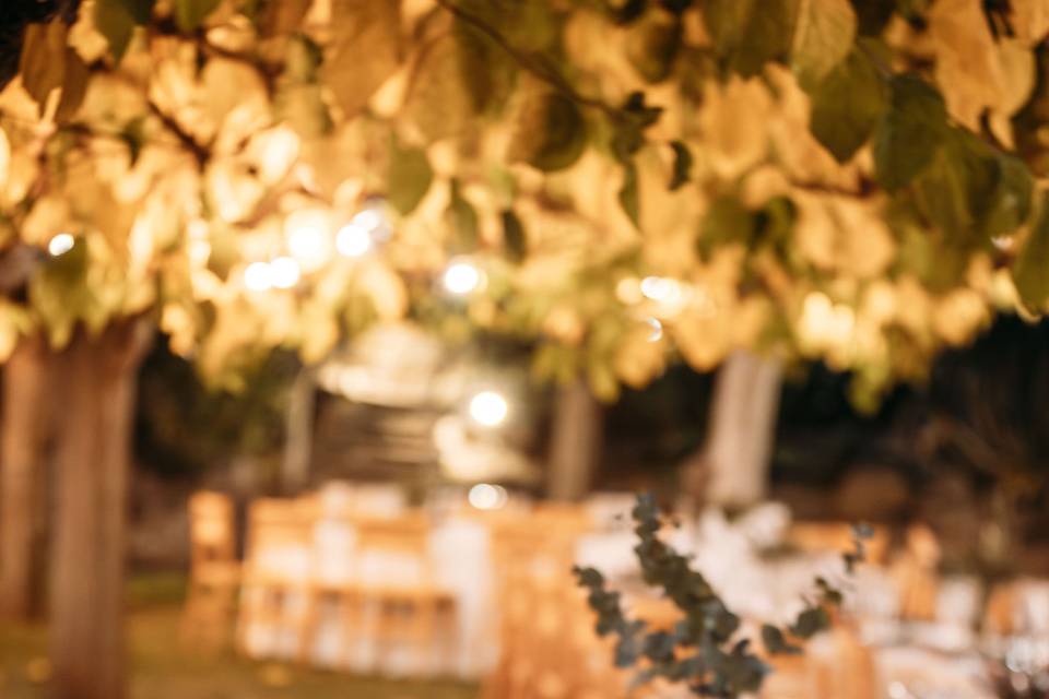 Banquete