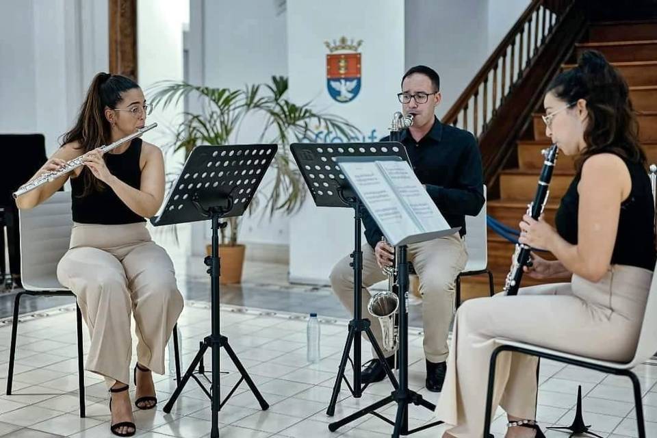 Trío clarinete, flauta y bajo