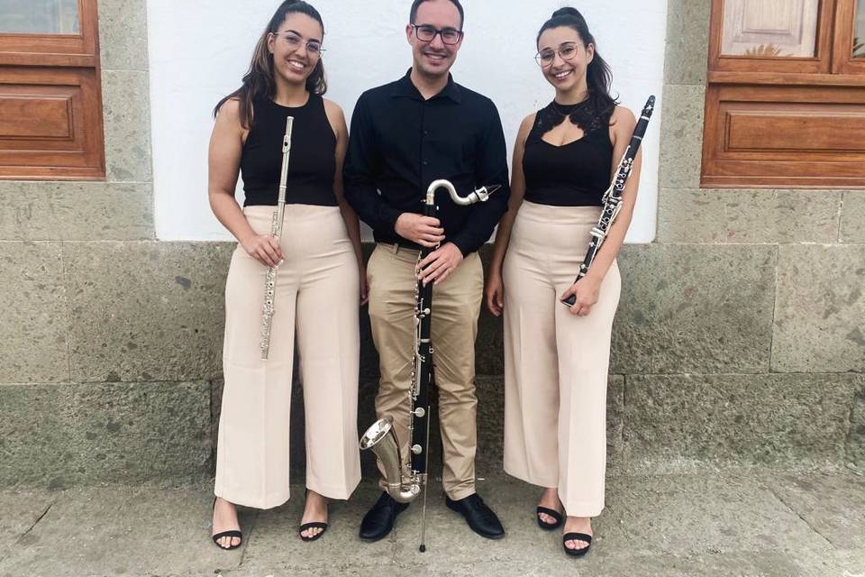 Trío clarinete, flauta y bajo