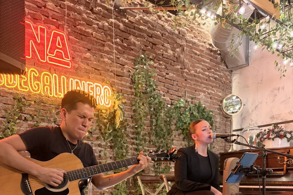Guitarra y voz