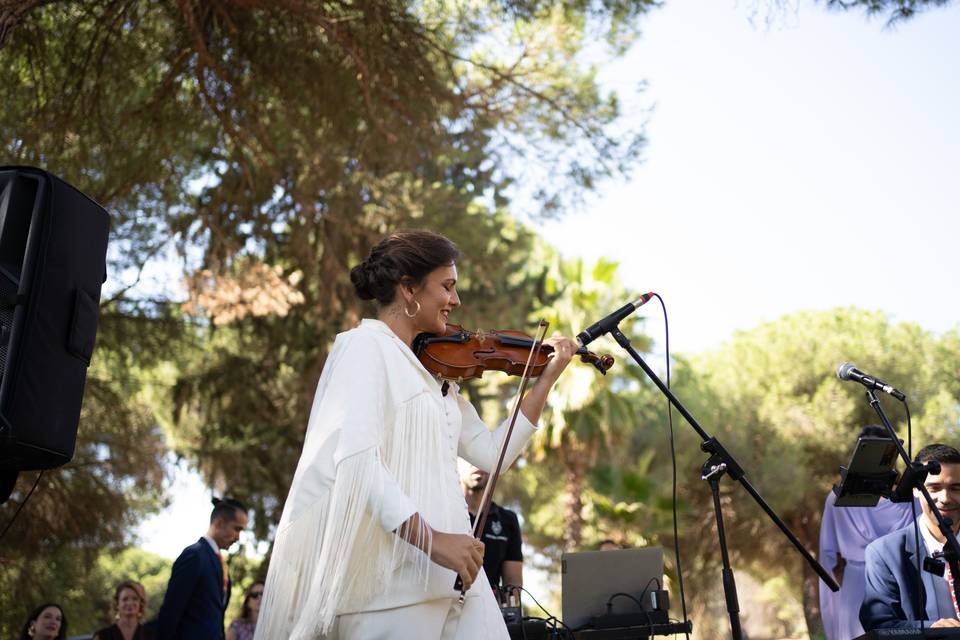 Graci del Saz