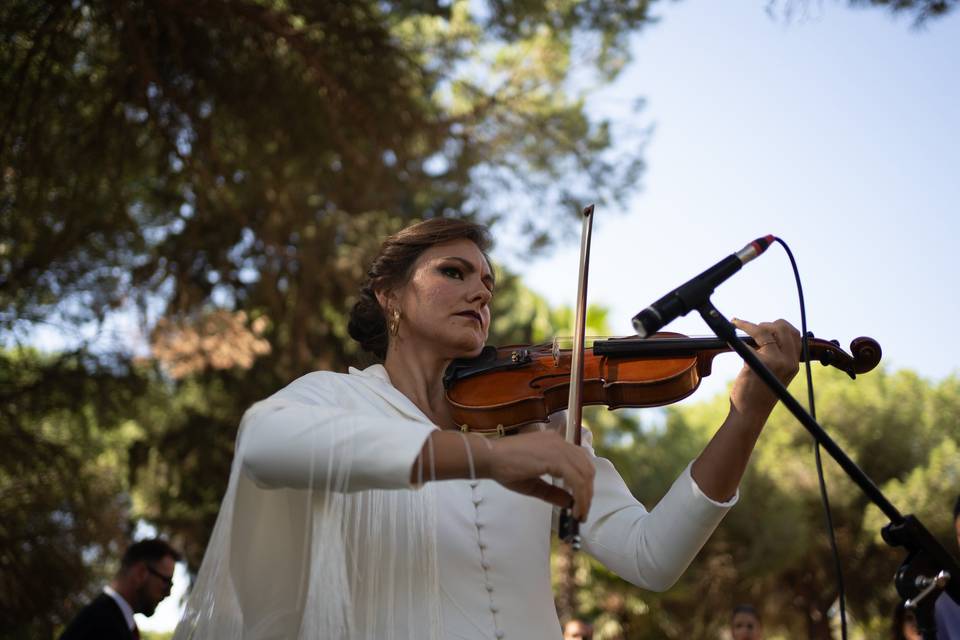 Graci del Saz