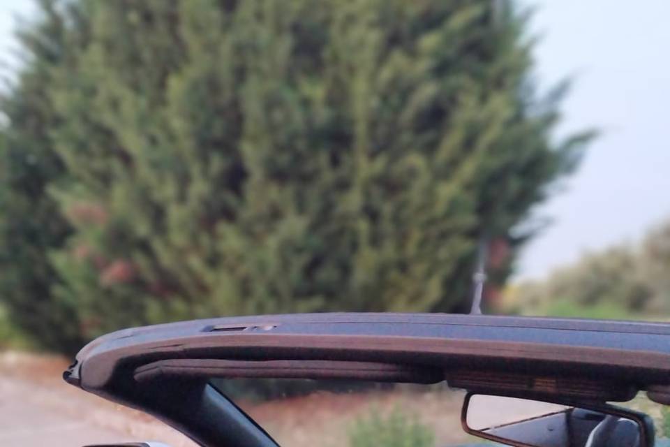 Mustang Cabrío