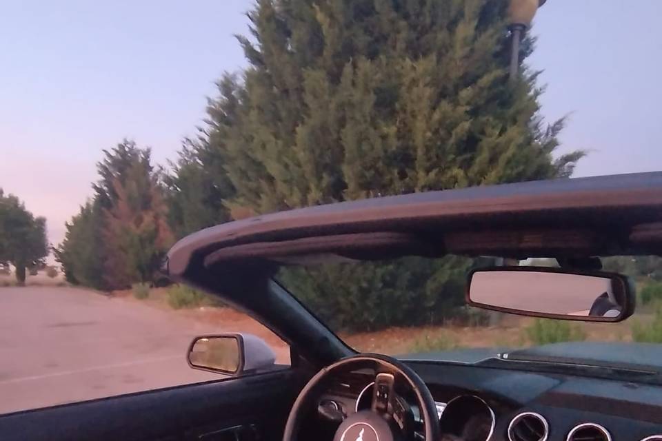 Mustang Cabrío