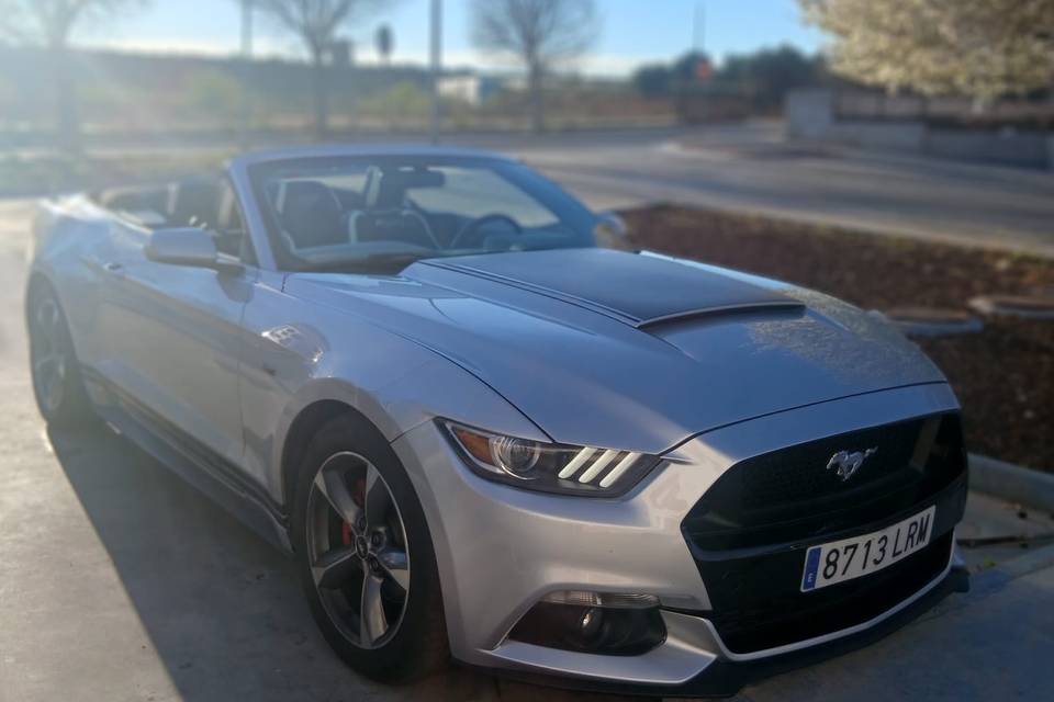 Mustang Cabrío