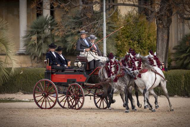 Cuarta calesera