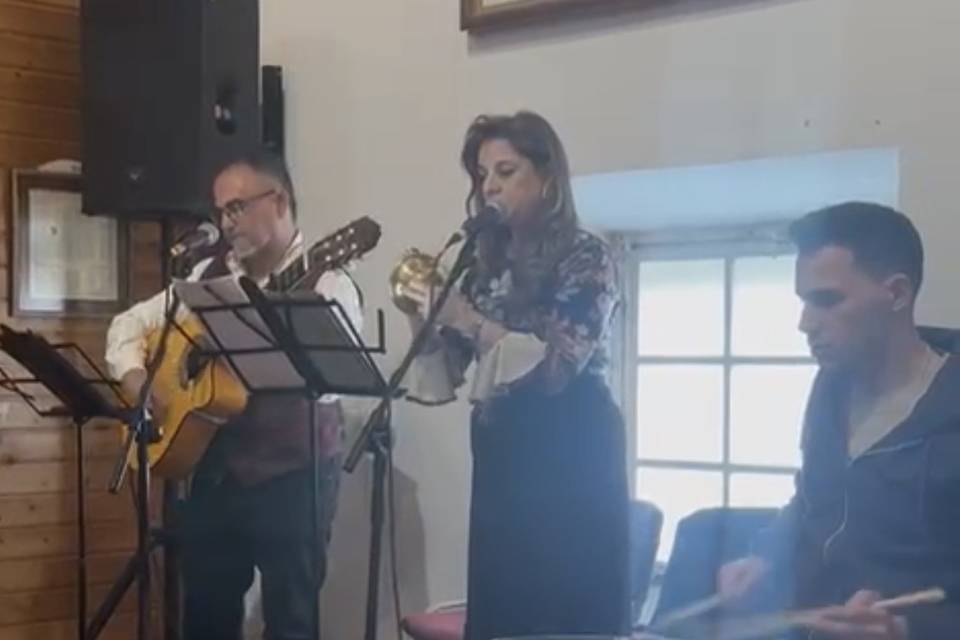 Tocando