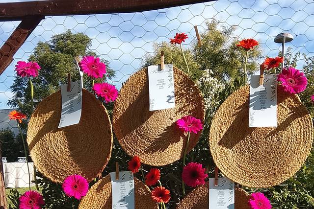Santolina Floristeria
