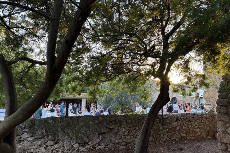 Jardín de las Mimosas