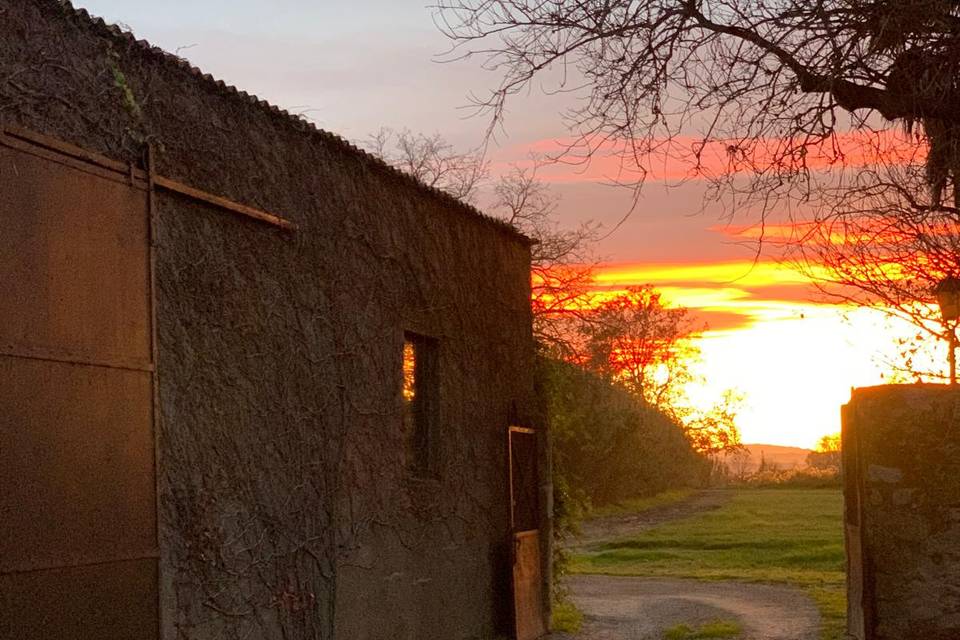 La luz del Empordà