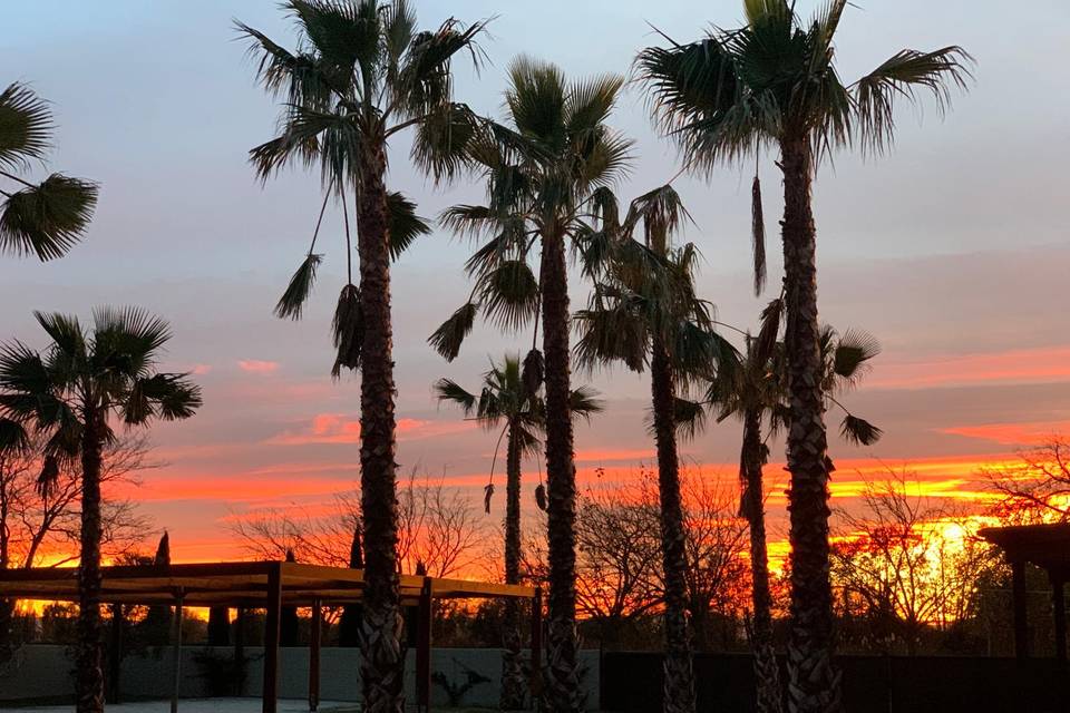 Atardecer