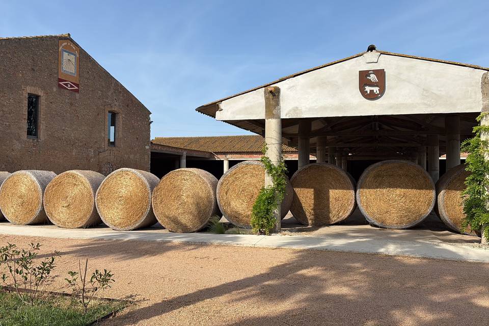 Entorno rural