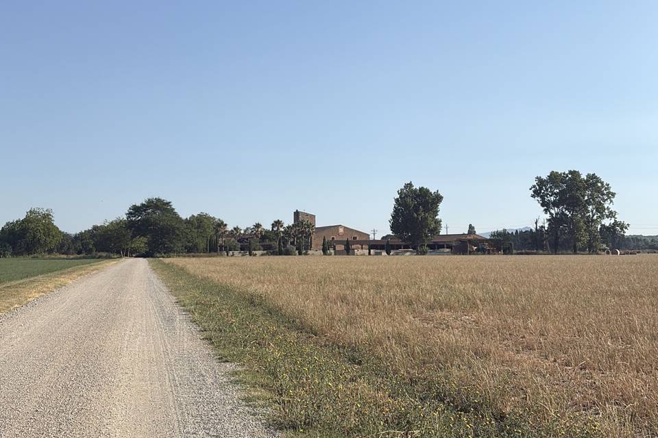 Campos: Paisaje de entrada