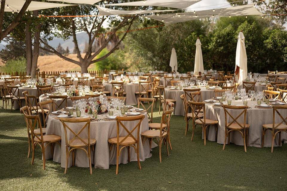 Finca Santa Sofía by P&G