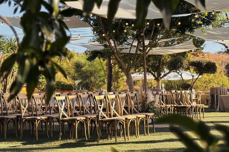 Finca Santa Sofía by P&G