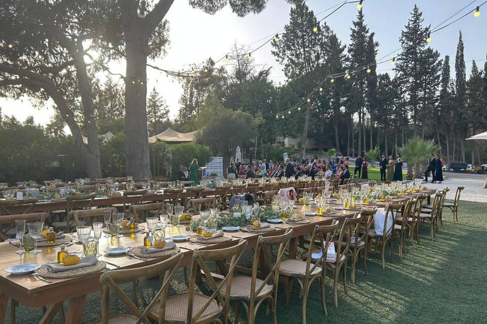 Finca Santa Sofía by P&G