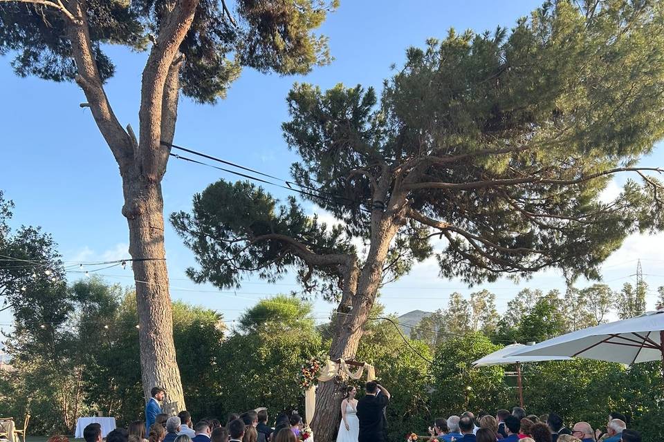 Finca Santa Sofía by P&G