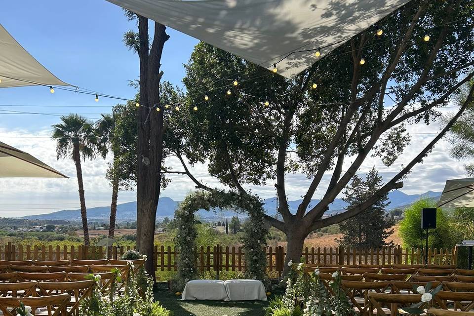 Finca Santa Sofía by P&G